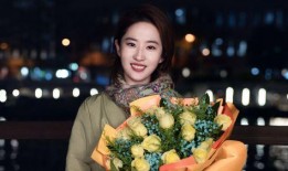 娱乐圈爆料朱珠事件,娱乐圈爆料背后的真相揭秘